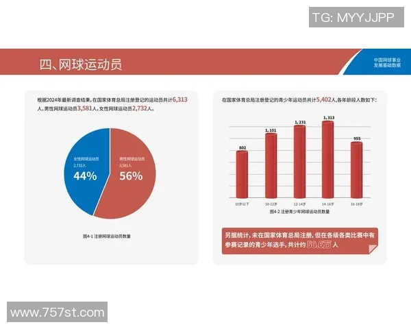 北京网球队的运营揭秘:深度分析与发展策略探讨 北京网球队的运营揭秘:深度分析与发展策略探讨